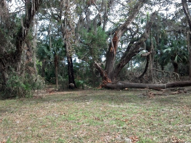 Oatland Hurricane-09.jpg